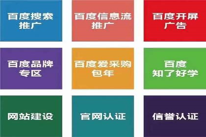案例研究：百度推广托管助力电商品牌快速崛起
